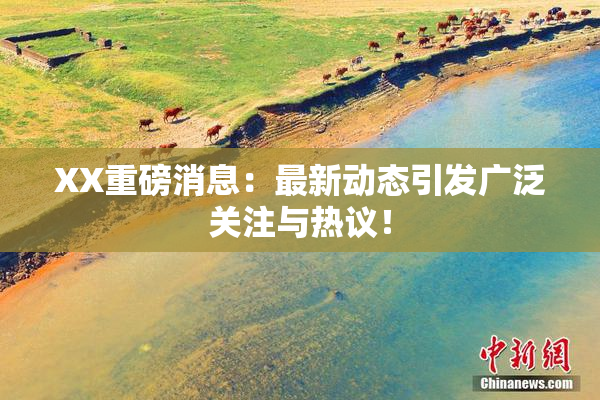 XX重磅消息：最新动态引发广泛关注与热议！