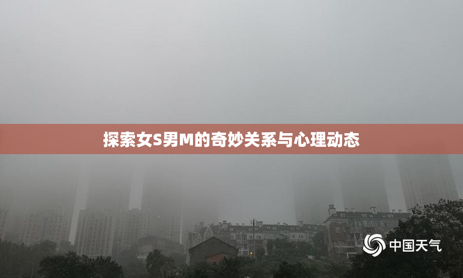 探索女S男M的奇妙关系与心理动态