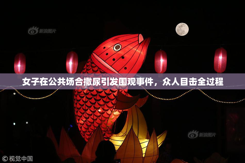 女子在公共场合撒尿引发围观事件，众人目击全过程