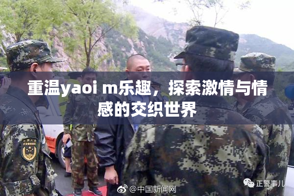 重温yaoi m乐趣，探索激情与情感的交织世界