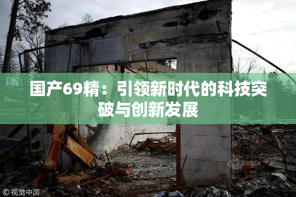 国产69精：引领新时代的科技突破与创新发展