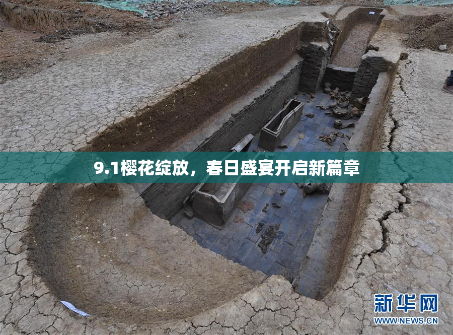 9.1樱花绽放，春日盛宴开启新篇章
