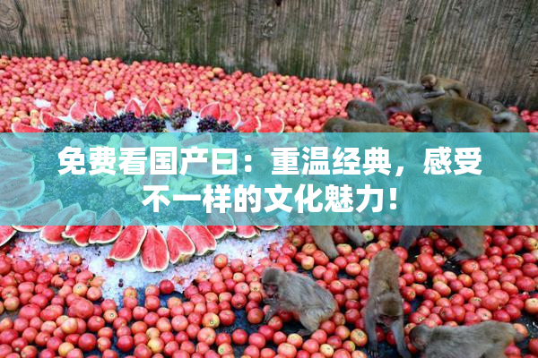 免费看国产曰：重温经典，感受不一样的文化魅力！