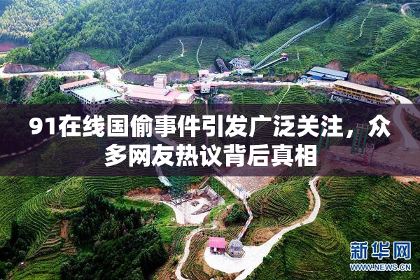 91在线国偷事件引发广泛关注，众多网友热议背后真相