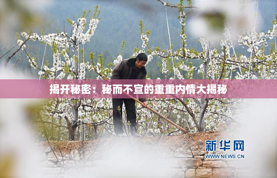 揭开秘密：秘而不宣的重重内情大揭秘