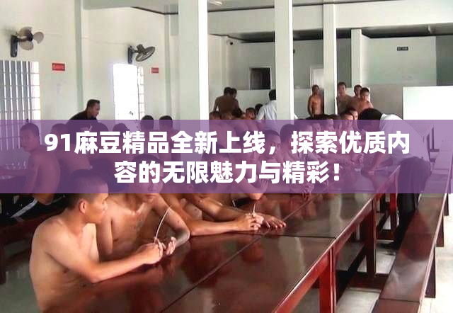 91麻豆精品全新上线，探索优质内容的无限魅力与精彩！