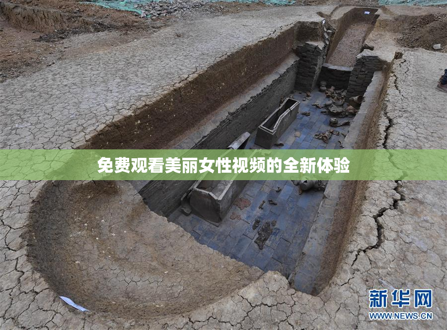 免费观看美丽女性视频的全新体验