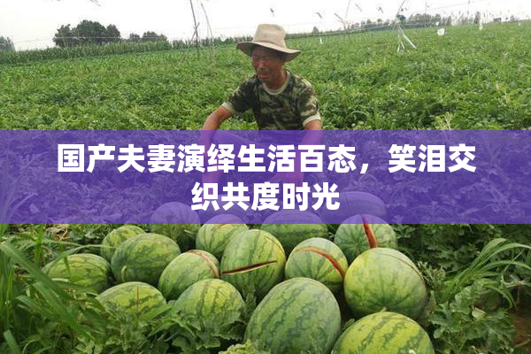 国产夫妻演绎生活百态，笑泪交织共度时光