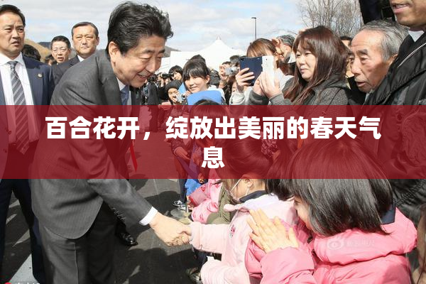 百合花开，绽放出美丽的春天气息