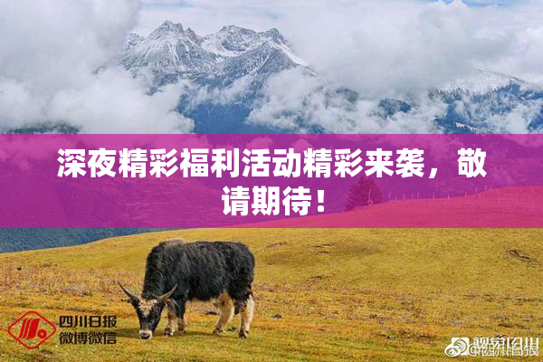 深夜精彩福利活动精彩来袭，敬请期待！