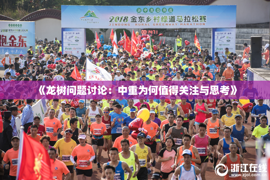 《龙树问题讨论：中重为何值得关注与思考》
