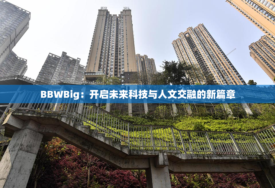 BBWBig：开启未来科技与人文交融的新篇章
