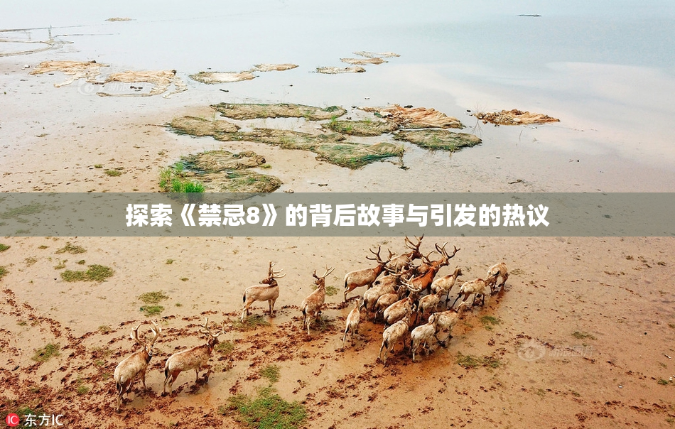 探索《禁忌8》的背后故事与引发的热议