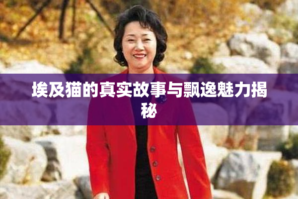 埃及猫的真实故事与飘逸魅力揭秘