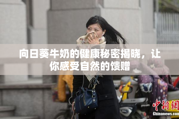 向日葵牛奶的健康秘密揭晓，让你感受自然的馈赠