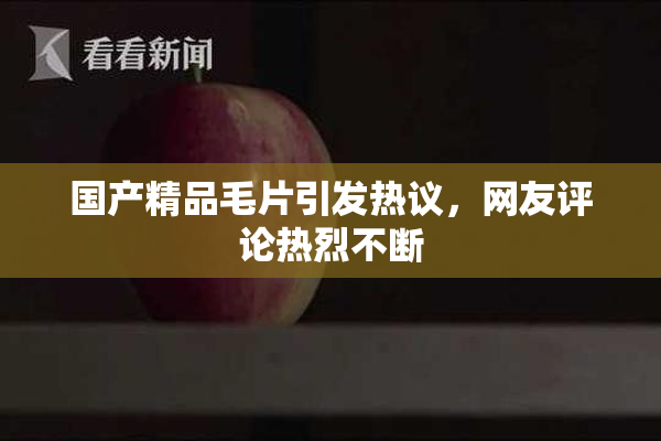 国产精品毛片引发热议，网友评论热烈不断