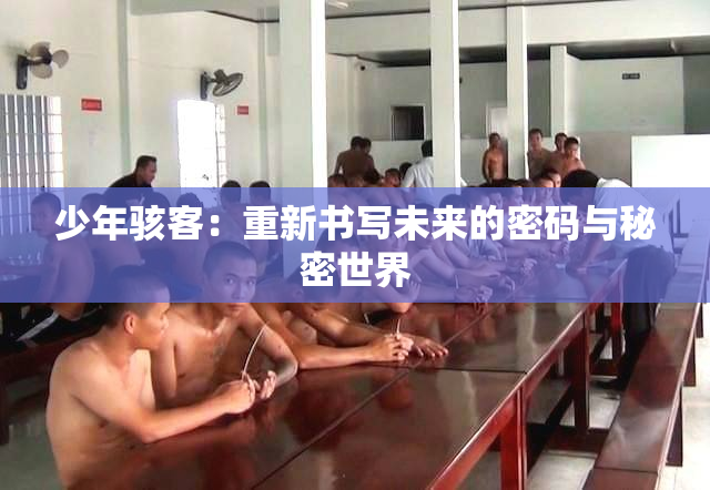 少年骇客：重新书写未来的密码与秘密世界
