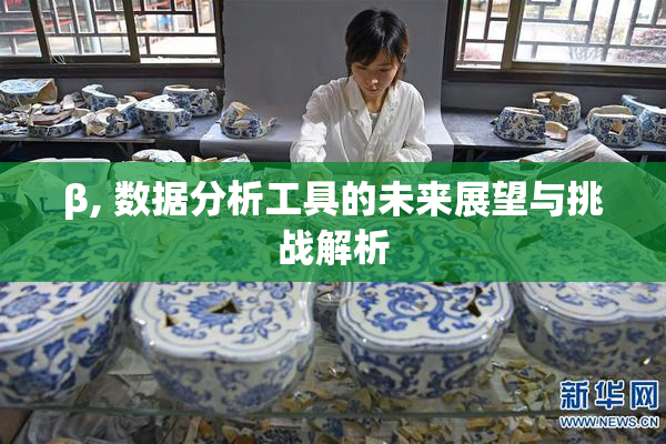 β, 数据分析工具的未来展望与挑战解析