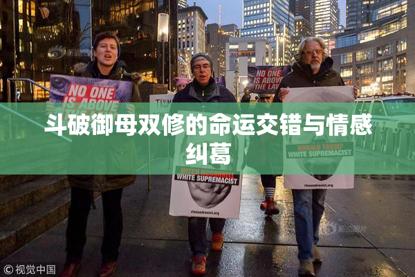 斗破御母双修的命运交错与情感纠葛