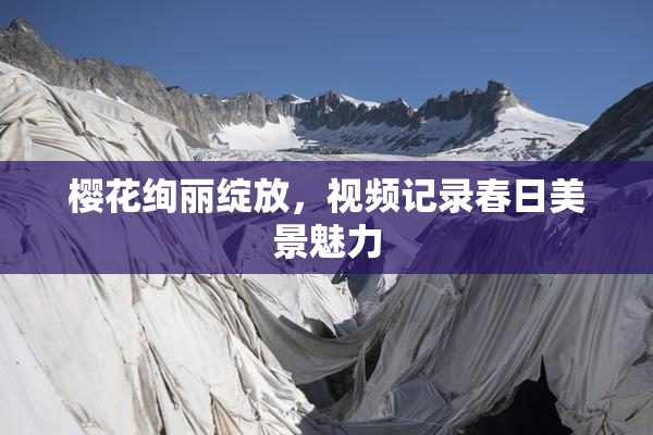 樱花绚丽绽放，视频记录春日美景魅力