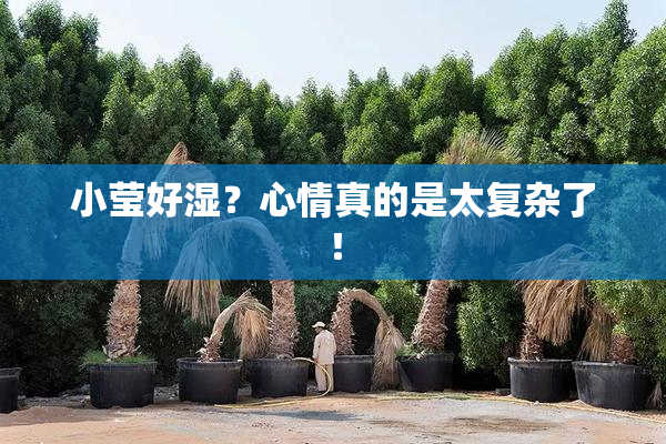 小莹好湿？心情真的是太复杂了！
