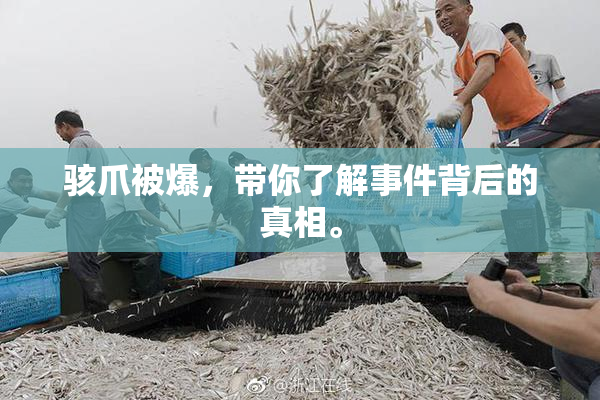 骇爪被爆，带你了解事件背后的真相。