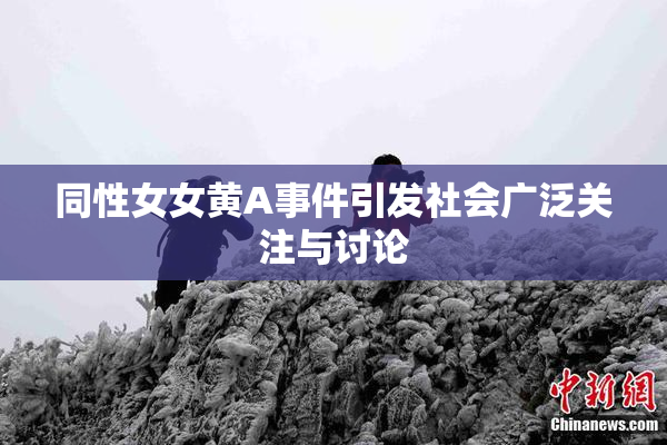 同性女女黄A事件引发社会广泛关注与讨论