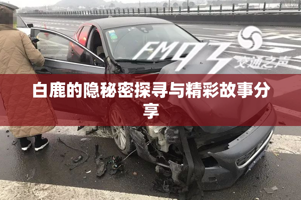 白鹿的隐秘密探寻与精彩故事分享