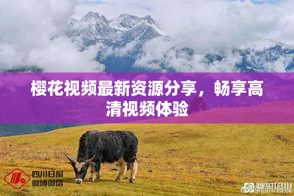 樱花视频最新资源分享，畅享高清视频体验