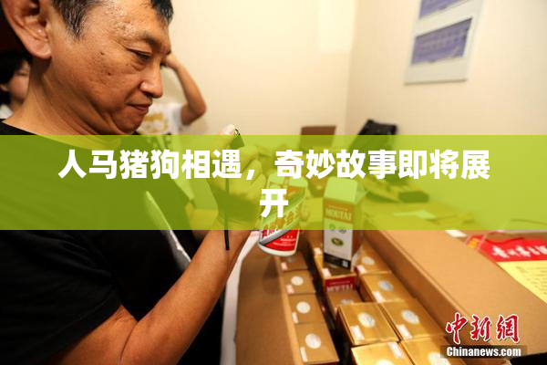 人马猪狗相遇，奇妙故事即将展开