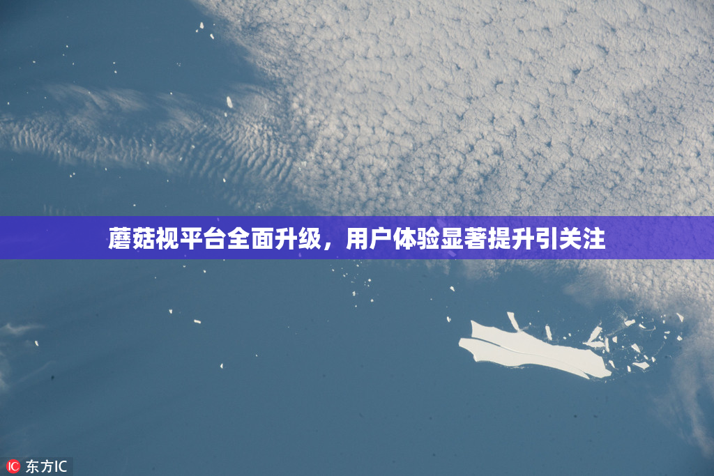 蘑菇视平台全面升级，用户体验显著提升引关注