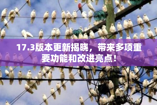 17.3版本更新揭晓，带来多项重要功能和改进亮点！