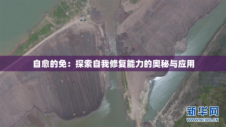 自愈的免：探索自我修复能力的奥秘与应用