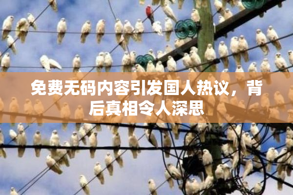 免费无码内容引发国人热议，背后真相令人深思