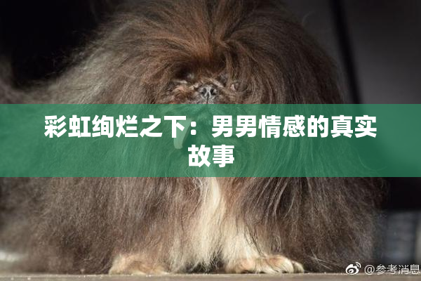 彩虹绚烂之下：男男情感的真实故事