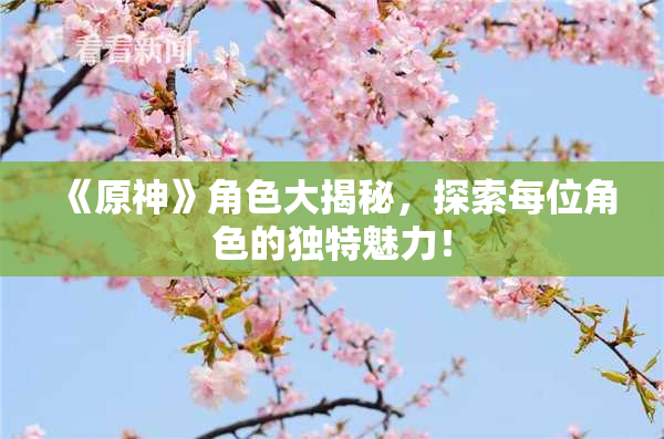 《原神》角色大揭秘，探索每位角色的独特魅力！