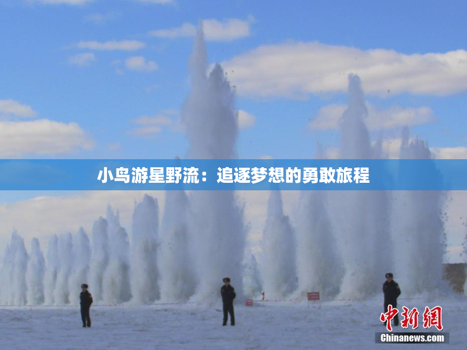 小鸟游星野流：追逐梦想的勇敢旅程
