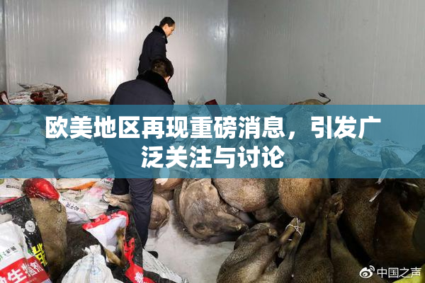欧美地区再现重磅消息，引发广泛关注与讨论
