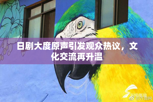 日剧大度原声引发观众热议，文化交流再升温