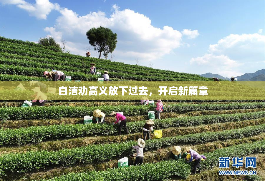 白洁劝高义放下过去，开启新篇章