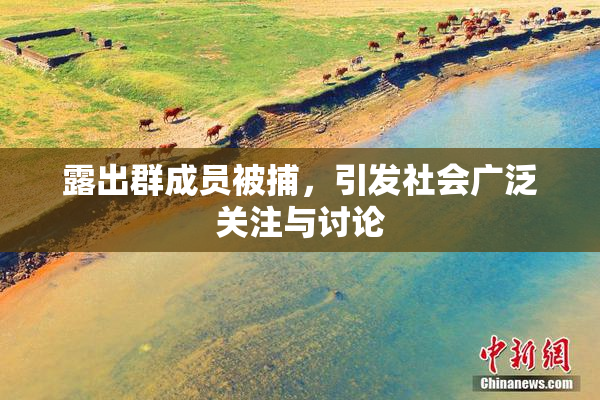 露出群成员被捕，引发社会广泛关注与讨论