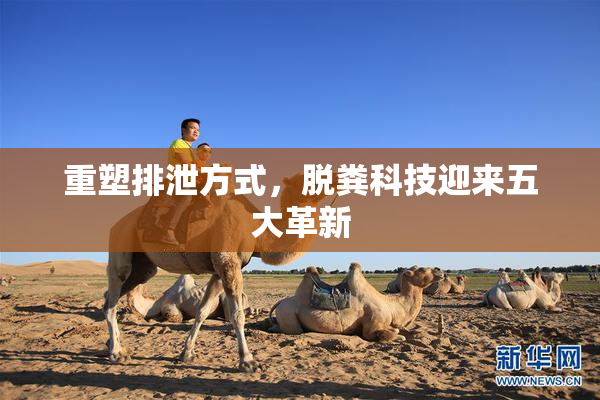 重塑排泄方式，脱粪科技迎来五大革新