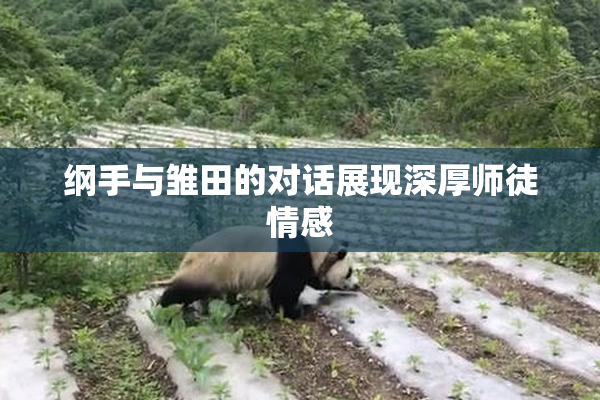 纲手与雏田的对话展现深厚师徒情感