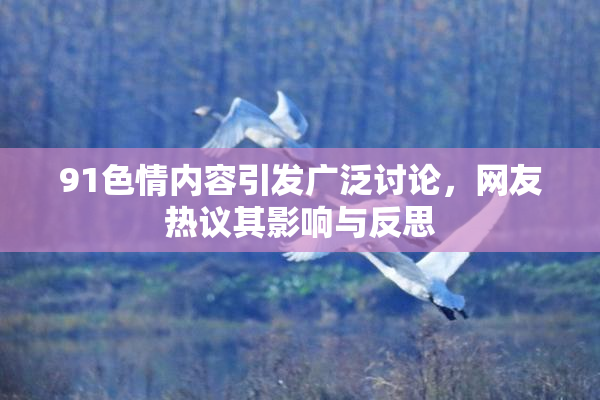 91色情内容引发广泛讨论，网友热议其影响与反思