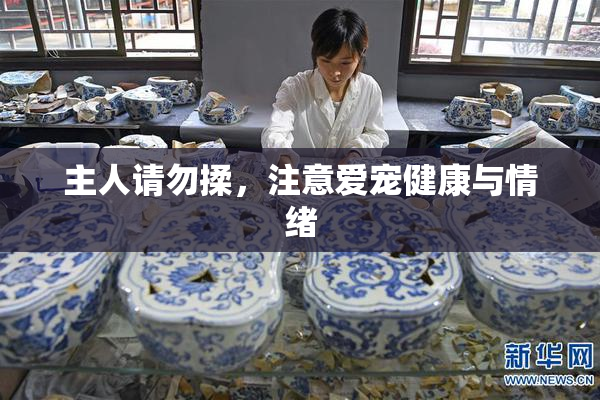 主人请勿揉，注意爱宠健康与情绪