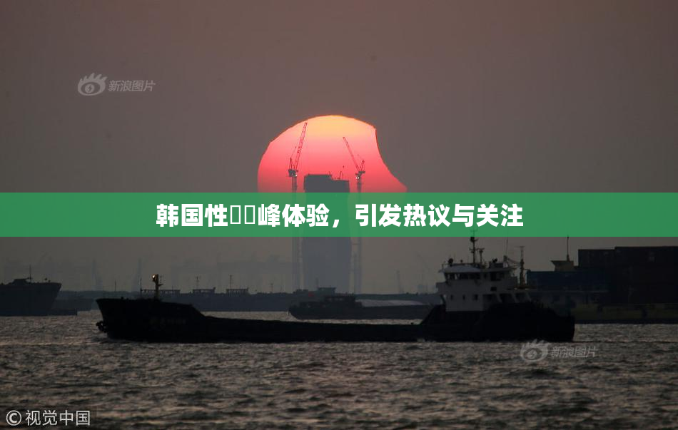韩国性愛巔峰体验，引发热议与关注