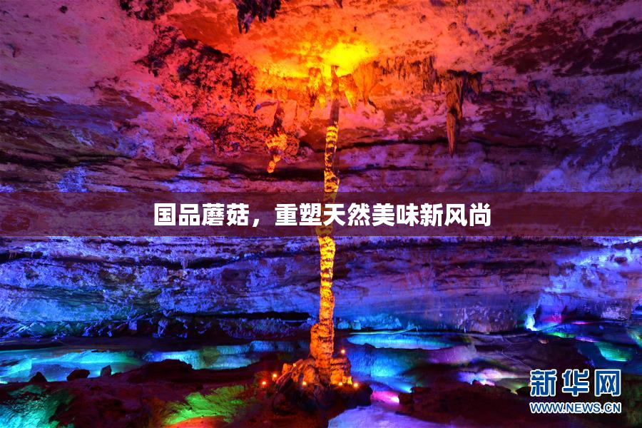 国品蘑菇，重塑天然美味新风尚