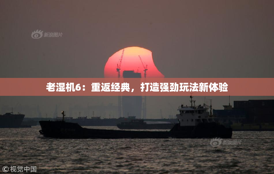 老湿机6：重返经典，打造强劲玩法新体验