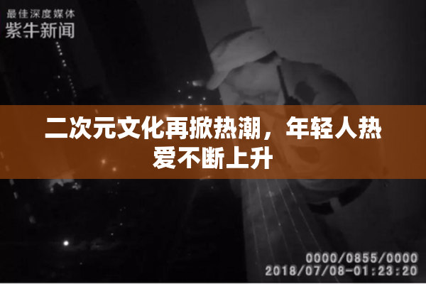 二次元文化再掀热潮，年轻人热爱不断上升