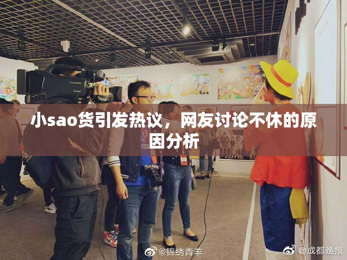 小sao货引发热议，网友讨论不休的原因分析